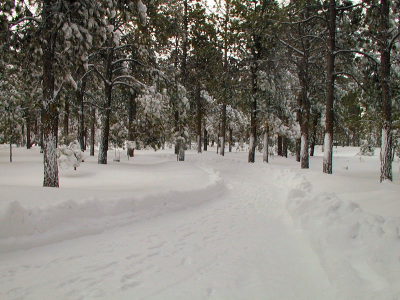 dscn1091_enh.jpg